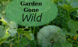 Garden Gone Wild